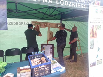 Festiwal_ogrodniczy_w_Nieborowie, 
